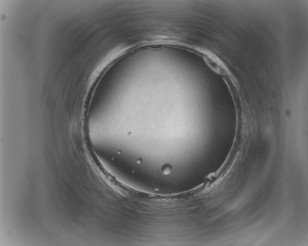 X0000067521333200604101317