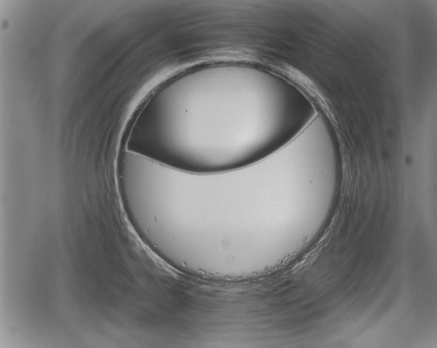 X0000067521334200604101317