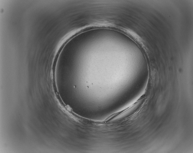 X0000067521335200604101317