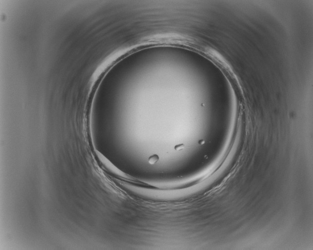 X0000067521336200604101317