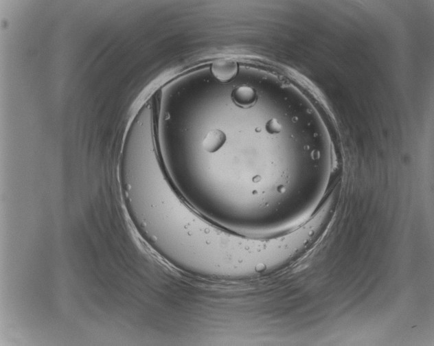 X0000067521338200604101317