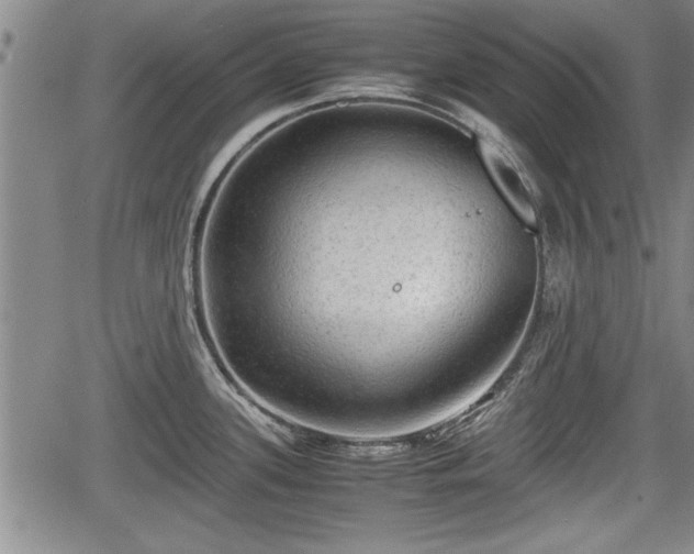 X0000067521339200604101317