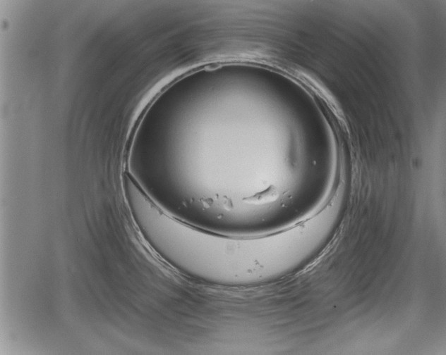 X0000067521340200604101317