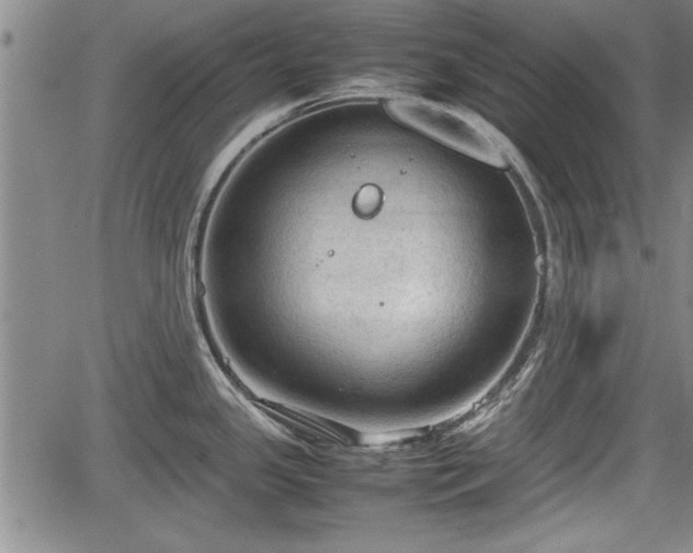 X0000067521341200604101317