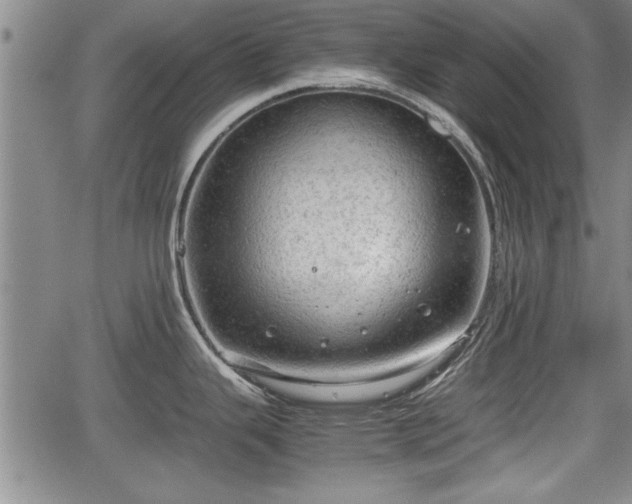 X0000067521343200604101317