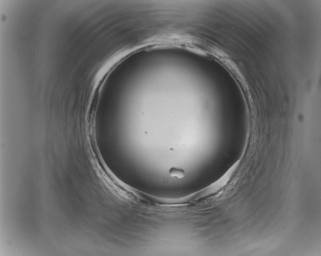 X0000067521344200604101317