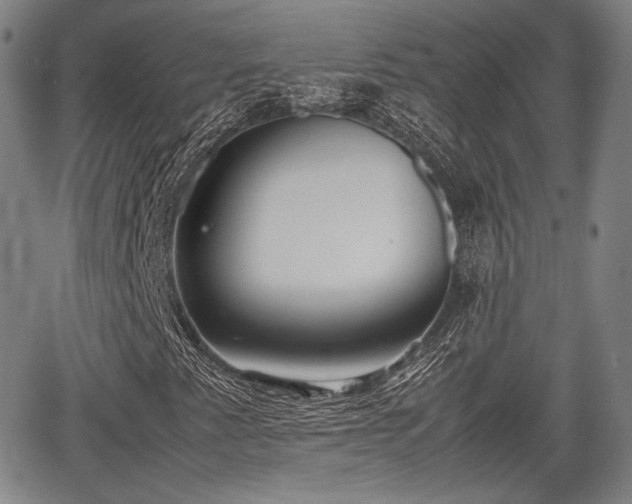 X0000067521345200604101316