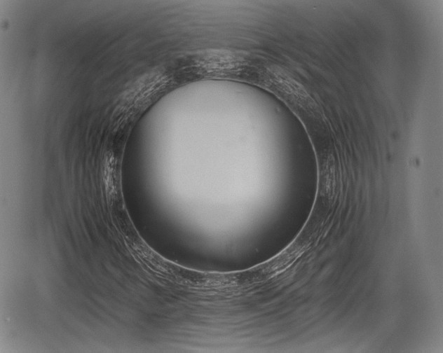 X0000067521346200604101316