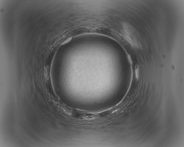 X0000067521347200604101316