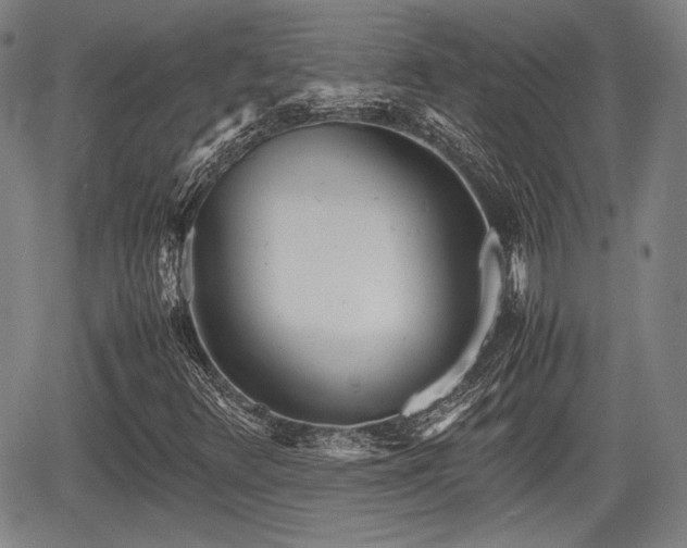 X0000067521348200604101316