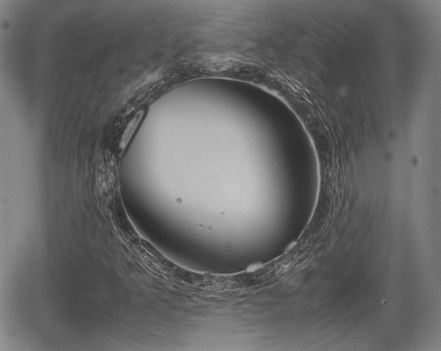 X0000067521349200604101316