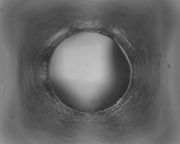 X0000067521350200604101316