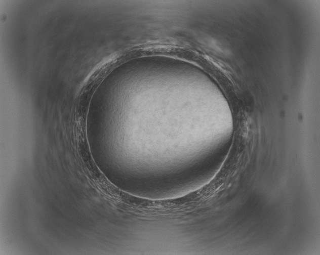 X0000067521351200604101316