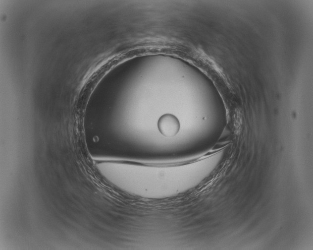 X0000067521352200604101316