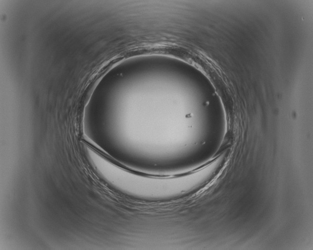 X0000067521353200604101316