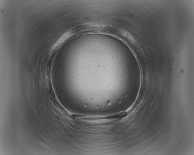 X0000067521354200604101316