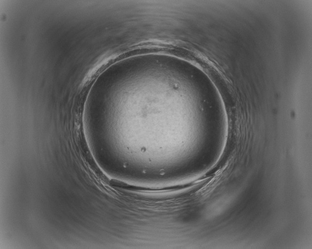 X0000067521355200604101316