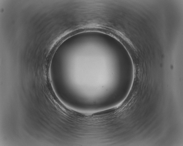 X0000067521356200604101316