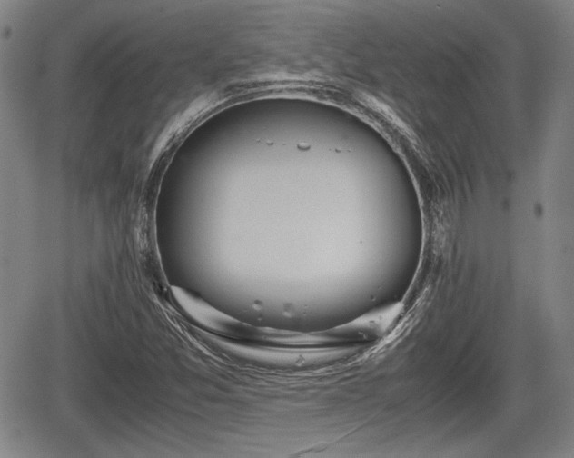 X0000067521357200604101316