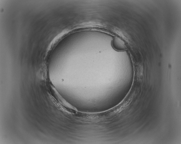 X0000067521358200604101316