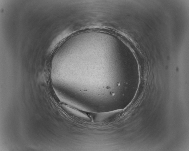 X0000067521359200604101316