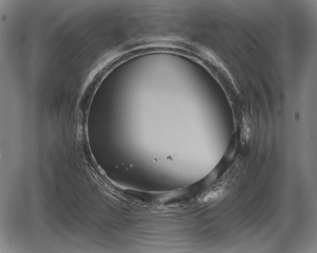 X0000067521360200604101316