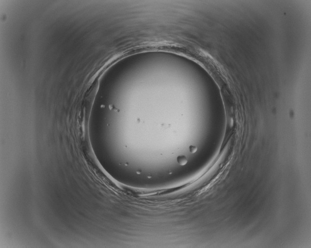 X0000067521361200604101316