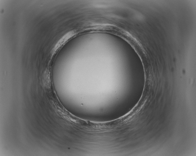 X0000067521362200604101316