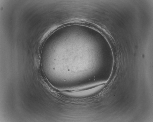 X0000067521363200604101316