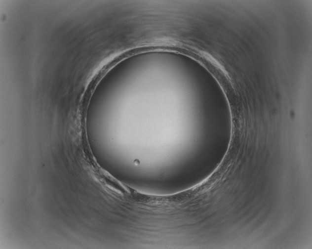 X0000067521364200604101316