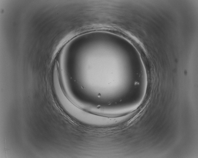 X0000067521365200604101316