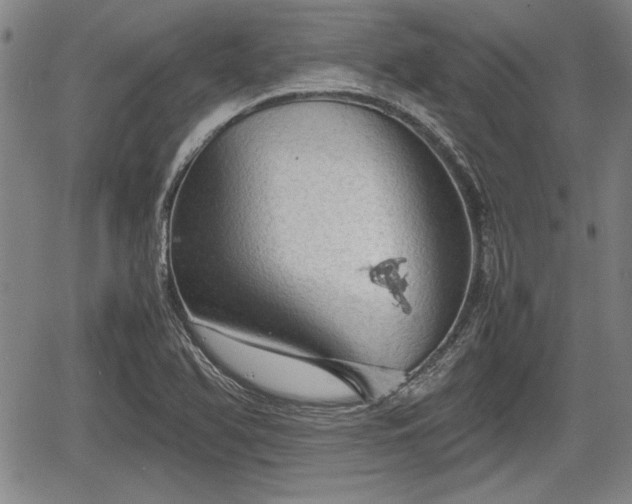 X0000067521366200604101316