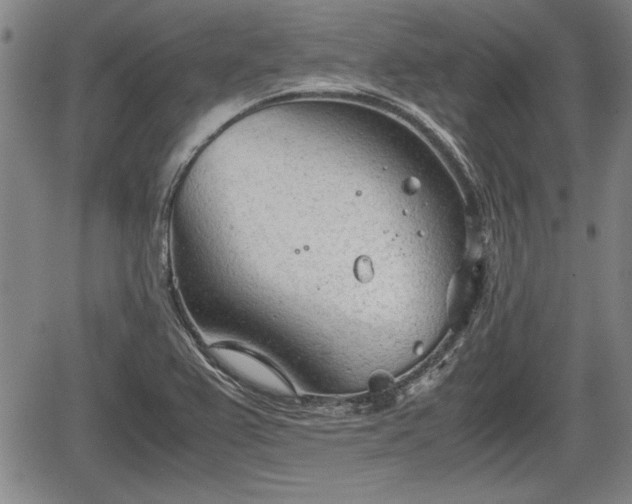 X0000067521367200604101316