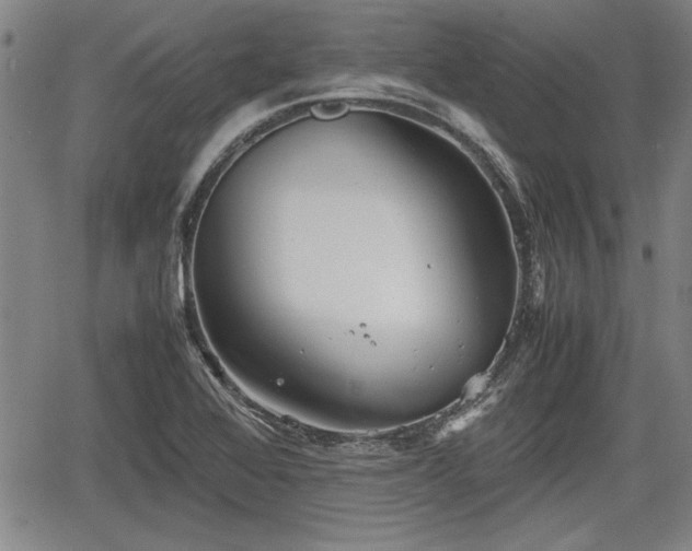 X0000067521368200604101316