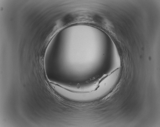 X0000067521369200604101316