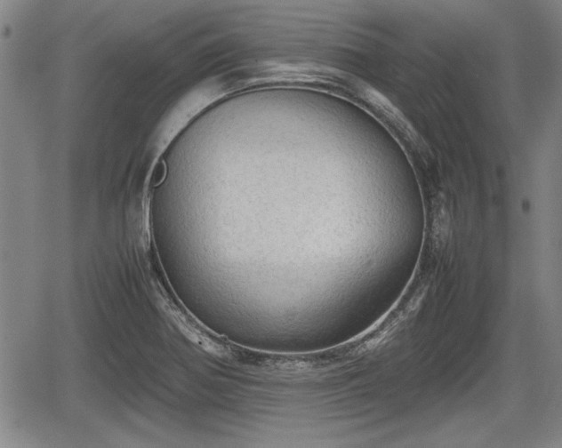 X0000067521370200604101316