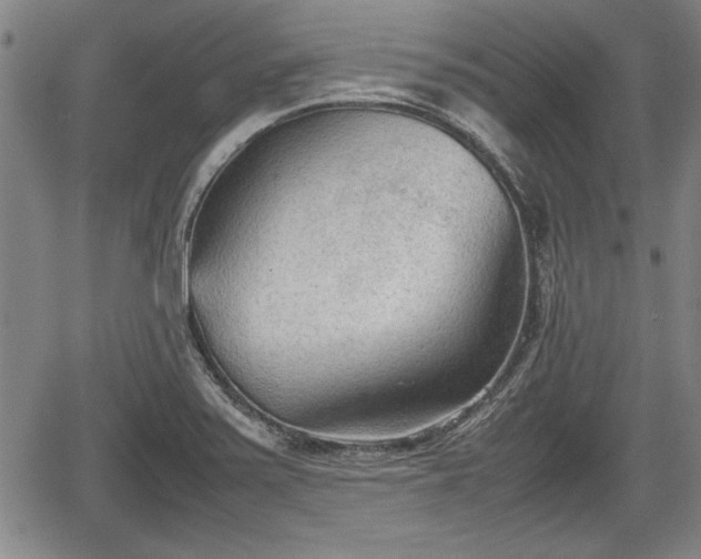 X0000067521371200604101316