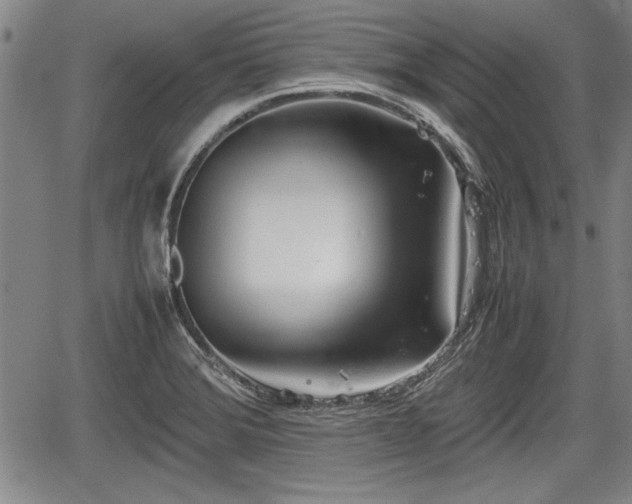 X0000067521372200604101316