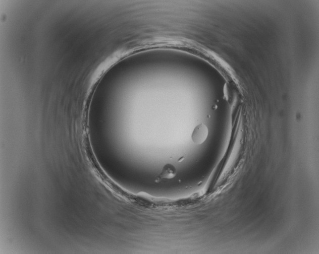 X0000067521373200604101316