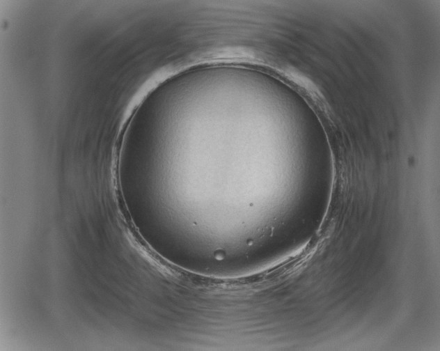 X0000067521374200604101316