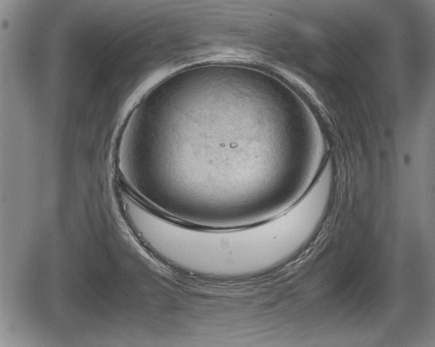 X0000067521375200604101316