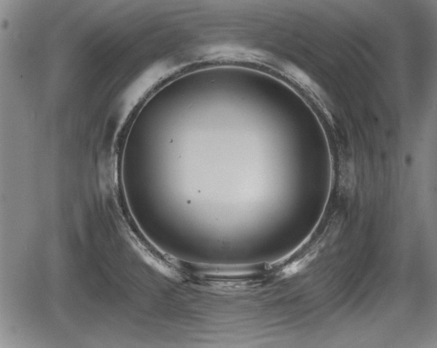 X0000067521376200604101316