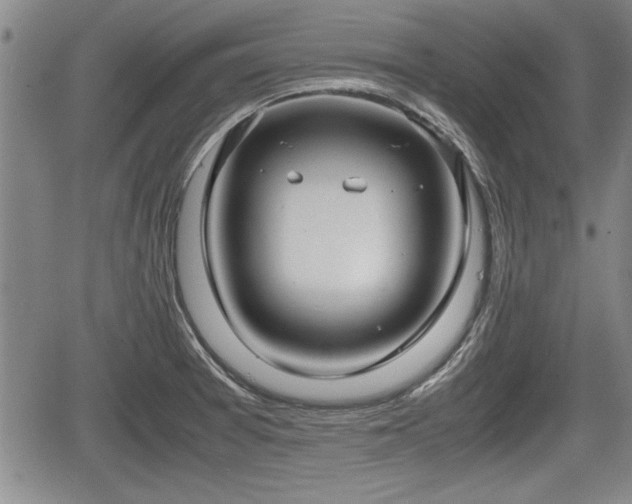 X0000067521377200604101316