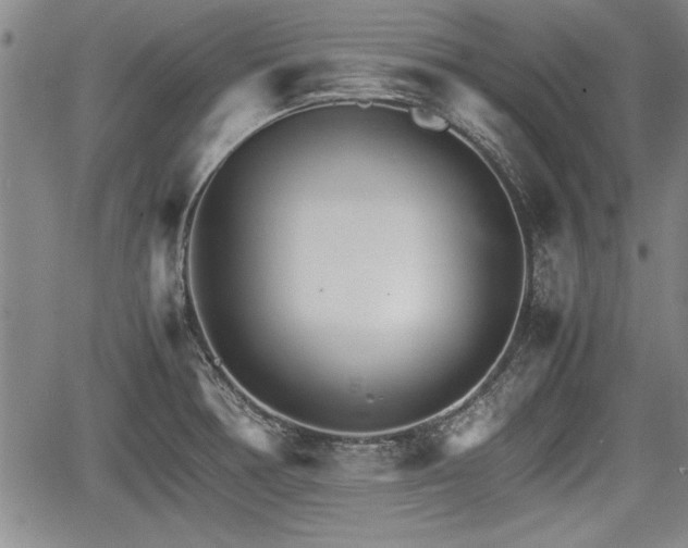 X0000067521378200604101315