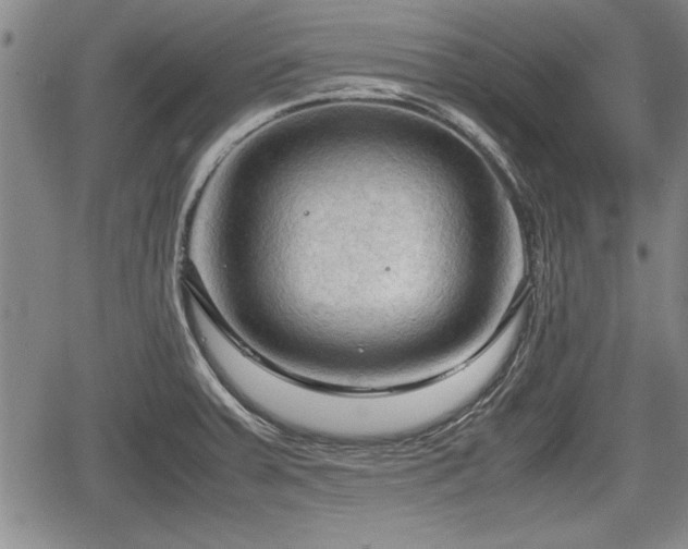 X0000067521379200604101315