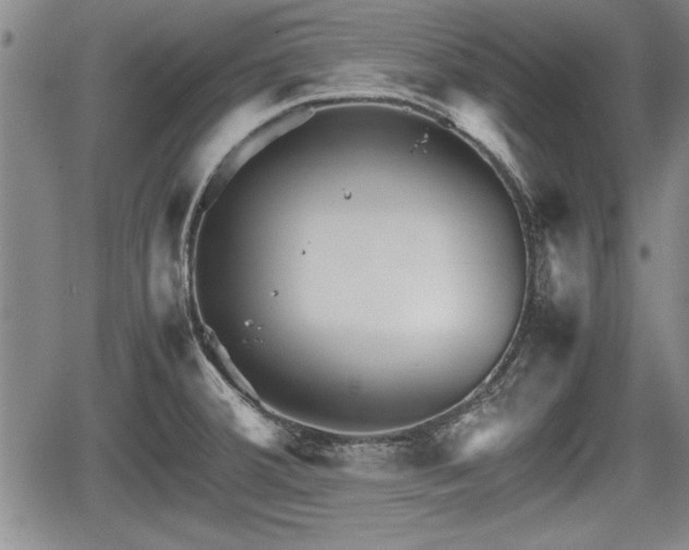 X0000067521380200604101315