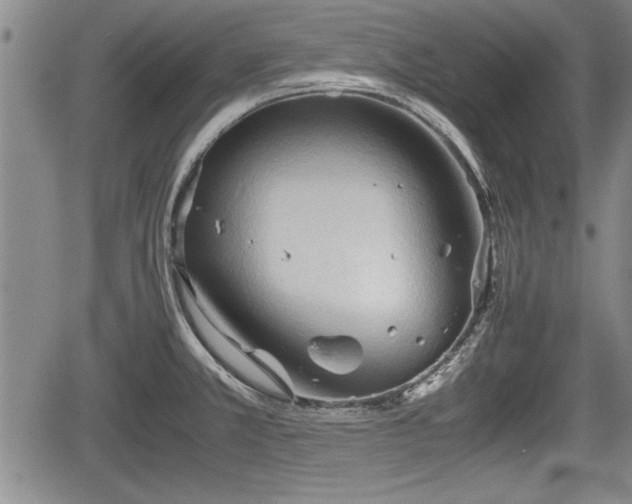 X0000067521381200604101315