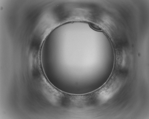 X0000067521382200604101315