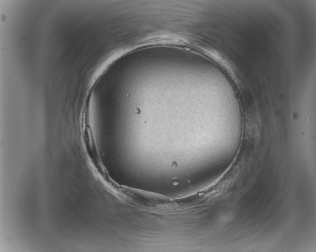 X0000067521383200604101315