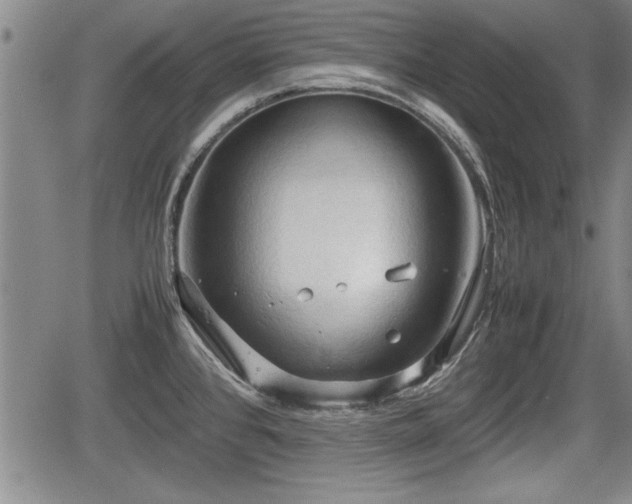 X0000067521384200604101315